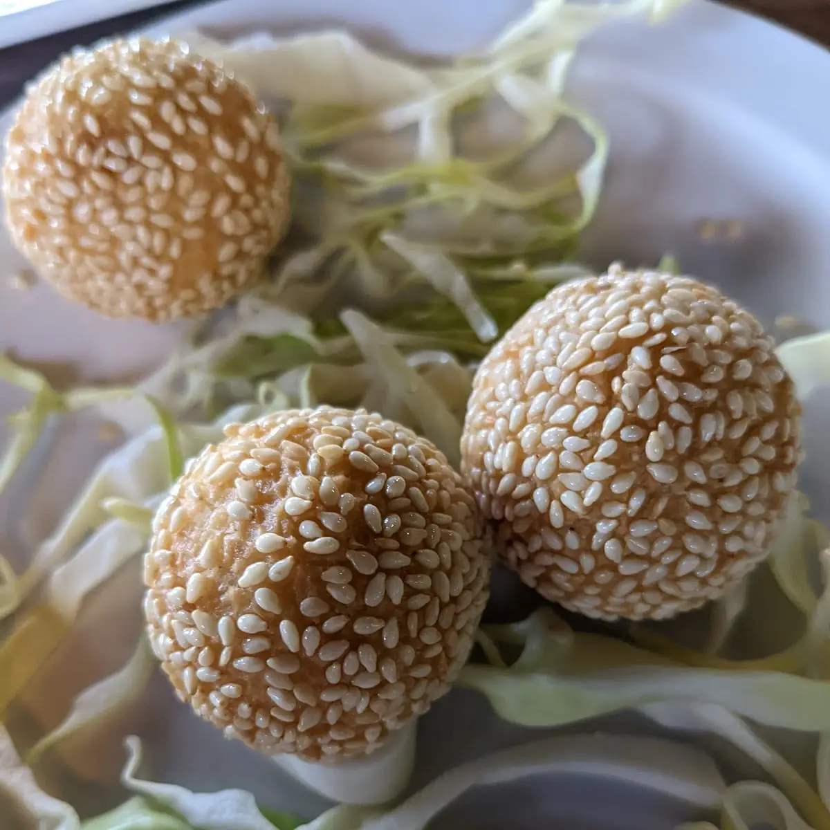 sesame balls 5 芝麻丸5